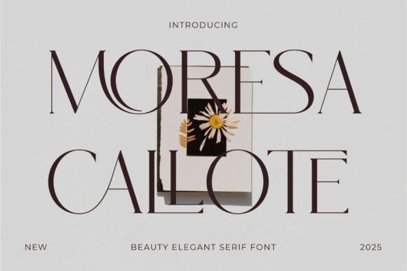 Elevate Editorial Design with the Moresa Callote Typeface