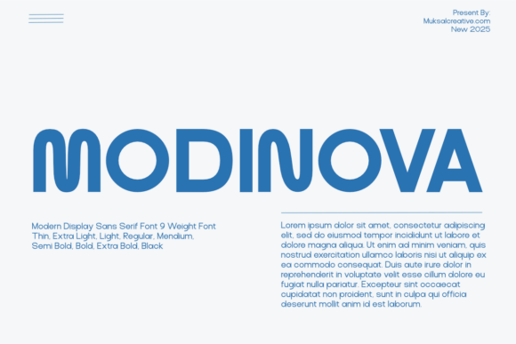 Modinova: Modern Sans Serif for Craft Creators